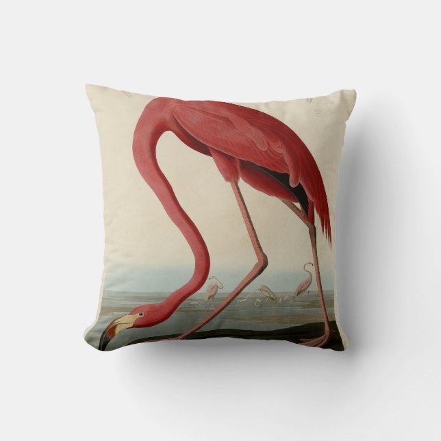 American Flamingo from Audubon's Birds of America Throw Pillow (Front)