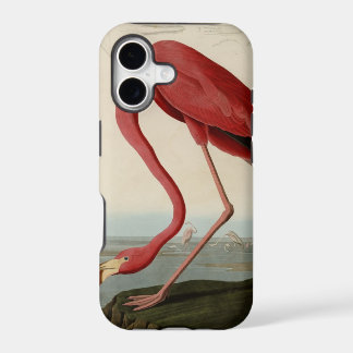 American Flamingo iPhone 17 Case