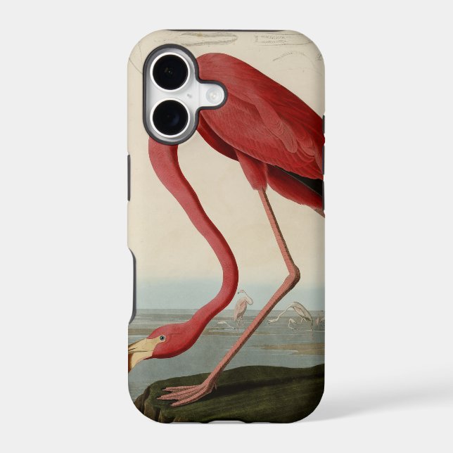 American Flamingo Iphone Case (Back)
