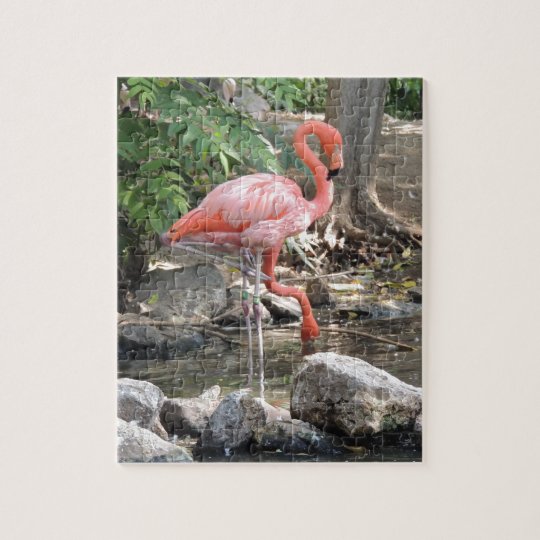 American Flamingo Jigsaw Puzzle | Zazzle.com