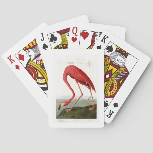 American Flamingo John Audubon Birds of America Poker Cards (Back)