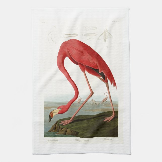 American Flamingo John Audubon Birds of America Towel (Vertical)