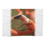 American Flamingo Kitchen Towel