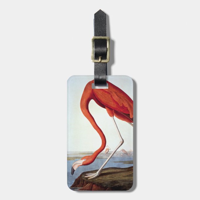 American Flamingo Luggage Tag (Front Vertical)