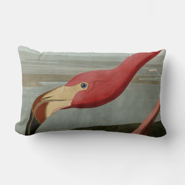 American Flamingo Lumbar Pillow (Front)
