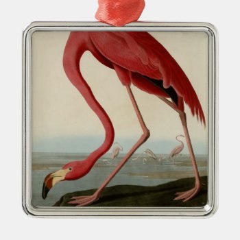 American Flamingo Metal Ornament by birdpictures at Zazzle