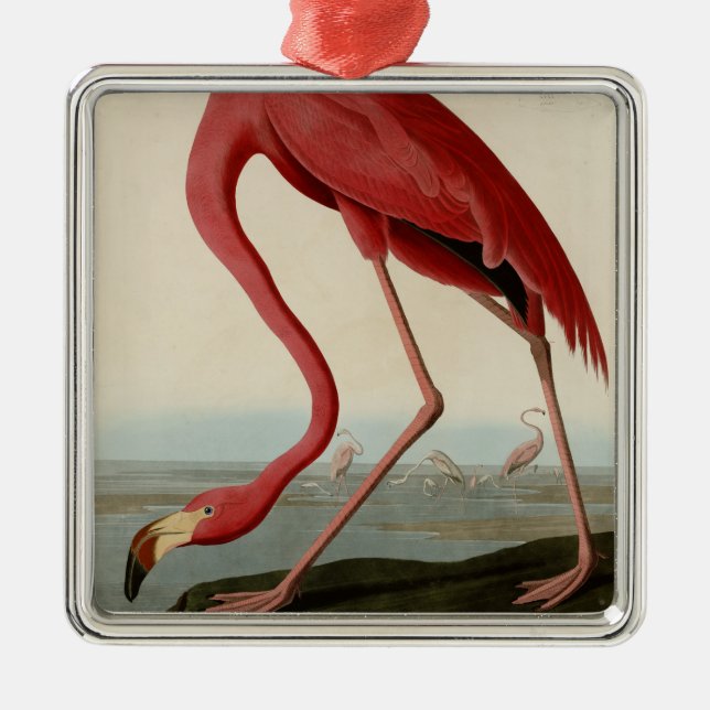 American Flamingo Metal Ornament (Front)