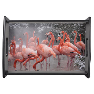 American Flamingo   Serving Tray