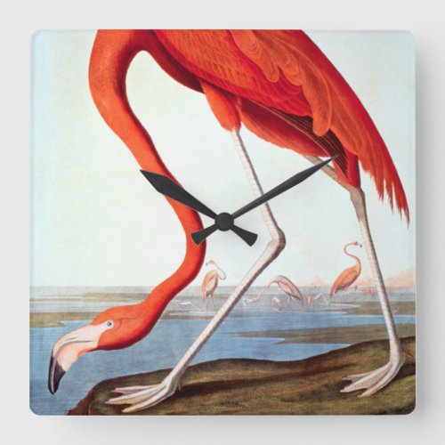 American Flamingo Square Wall Clock