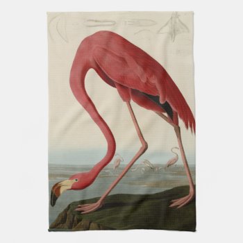 American Flamingo Towel by birdpictures at Zazzle