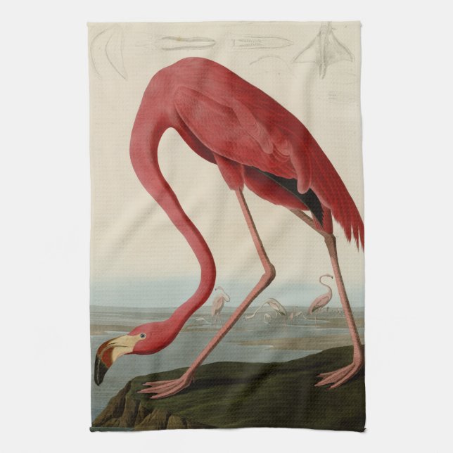 American Flamingo Towel (Vertical)