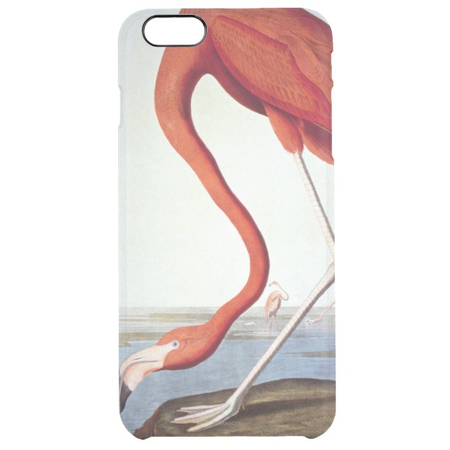 American Flamingo Uncommon iPhone Case (Back)