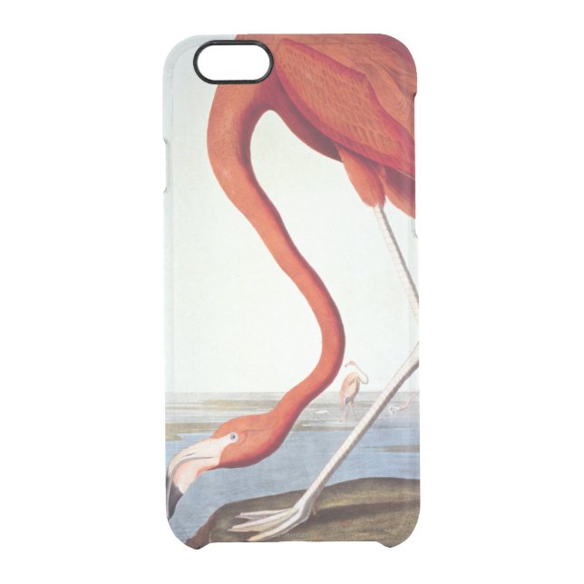 American Flamingo Uncommon iPhone Case (Back)