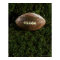 American football on grass, view from above