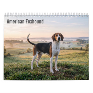 American Foxhound 2027 Wall calendar
