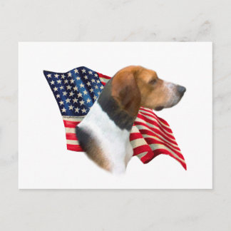 American Foxhound Flag Postcard