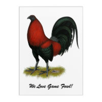 American Game BB Black Red Rooster