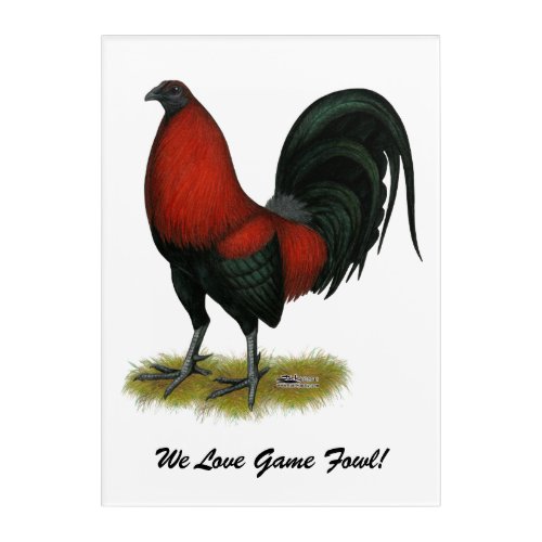 American Game BB Black Red Rooster Acrylic Print