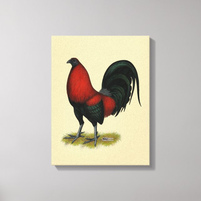 American Game BB Black Red Rooster Canvas Print (Front)