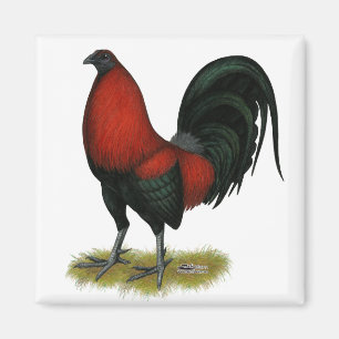 American Game BB Black Red Rooster Magnet