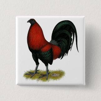 American Game BB Black Red Rooster Pinback Button