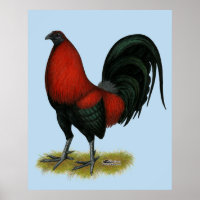 American Game BB Black Red Rooster