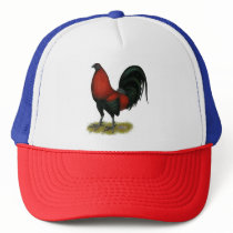 American Game BB Black Red Rooster Trucker Hat