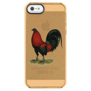 American Game BB Black Red Rooster Clear iPhone SE/5/5s Case