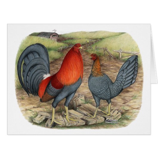 American Game Blue Reds Cards (Front Horizontal)