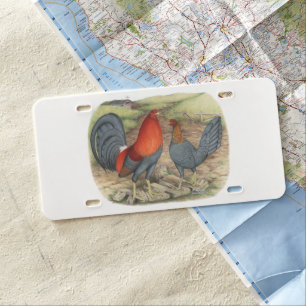 American Game Blue Reds License Plate