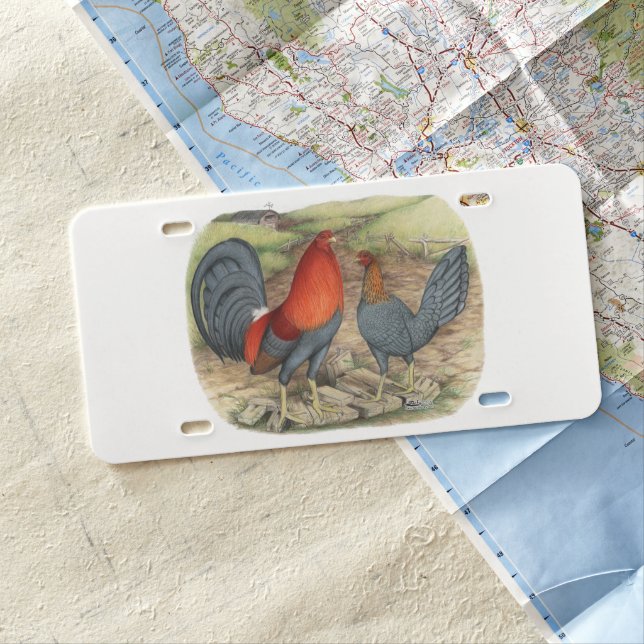 American Game Blue Reds License Plate (In Situ)