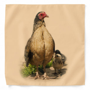 American Game Hen and Baby Chickens Bandana