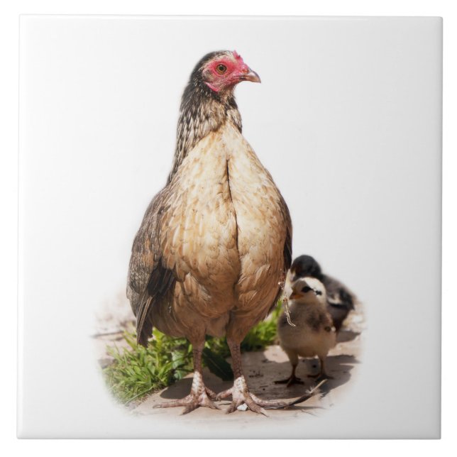 American Game Hen and Baby Chickens Ceramic Tile (Front)