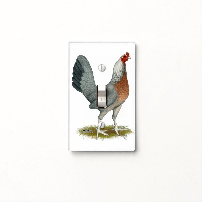 American Game Hen Silver Blue Light Switch Cover (In Situ)