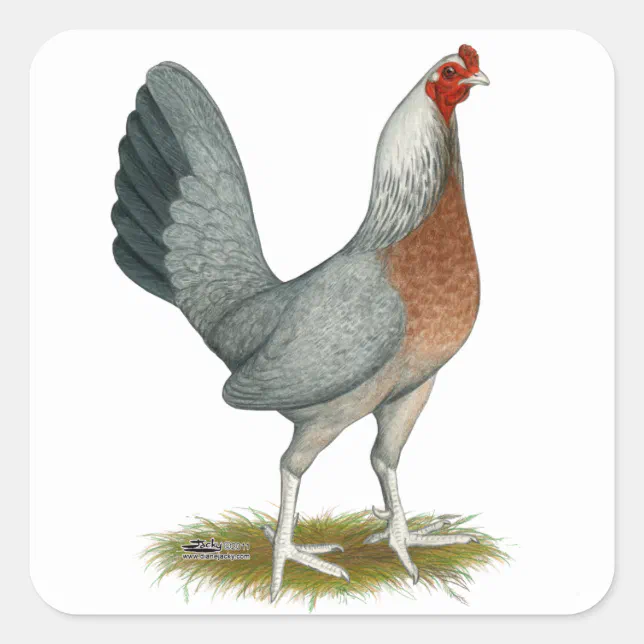 American Game Hen Silver Blue Square Sticker | Zazzle