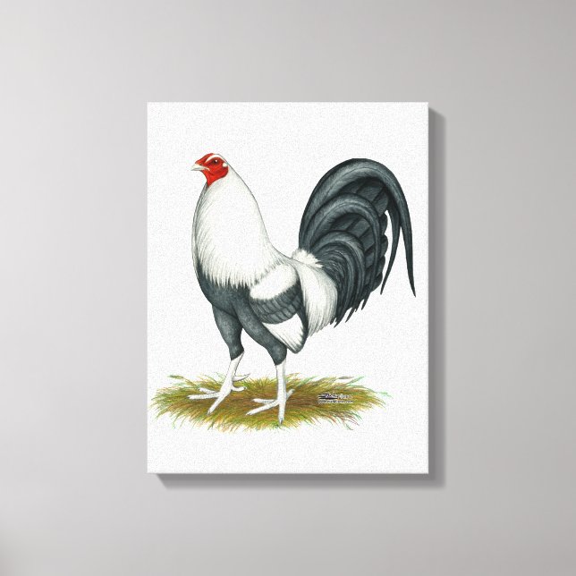 American Game Silver Blue Gamecock Canvas Print (Front)