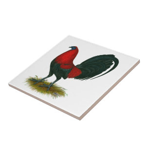 American Gamecock: Brown Red Ceramic Tile