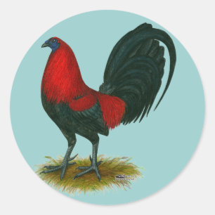 American Gamecock: Brown Red Classic Round Sticker