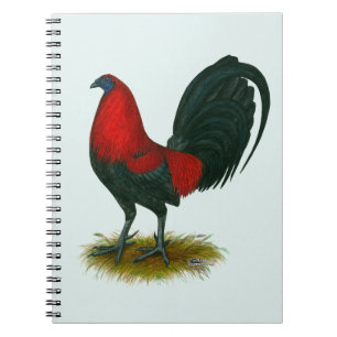 American Gamecock: Brown Red Notebook