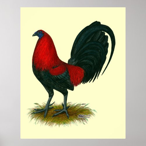 American Gamecock  Brown Red Poster