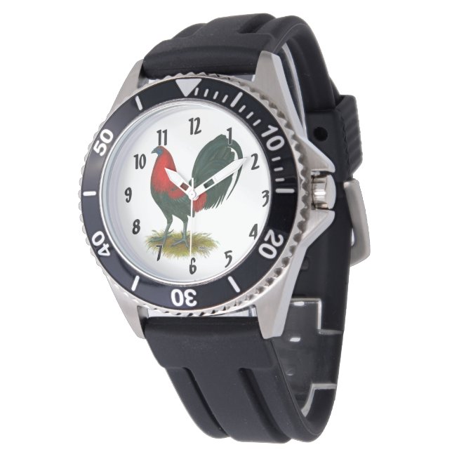 American Gamecock:  Brown Red Watch (Angled)