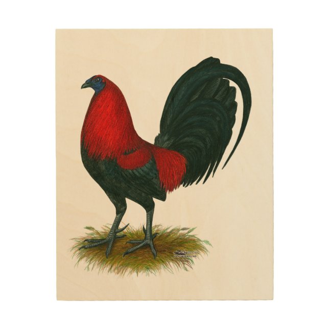 American Gamecock:  Brown Red Wood Wall Art (Front)