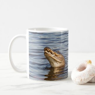 American Gator