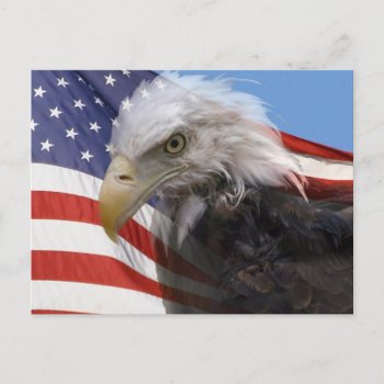American Glory Postcard by KKHPhotosVarietyShop at Zazzle