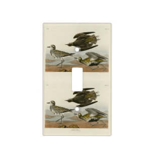 American Golden-Plover, Audubon's Birds of America Light Switch Cover
