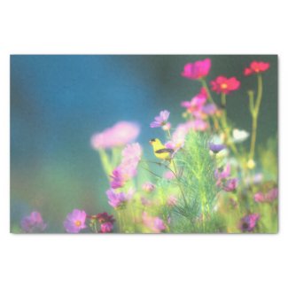 American Goldfinch and Pink Coreopsis  Tissue Paper