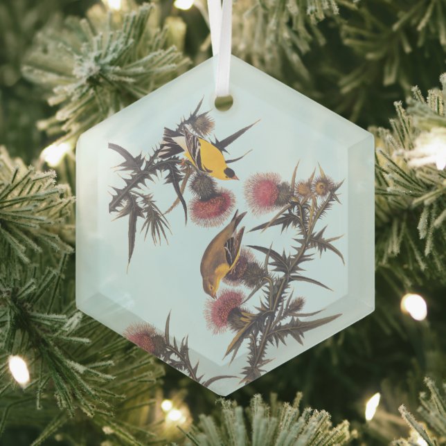 American Goldfinch Audubon Birds of America Glass Ornament (Insitu)