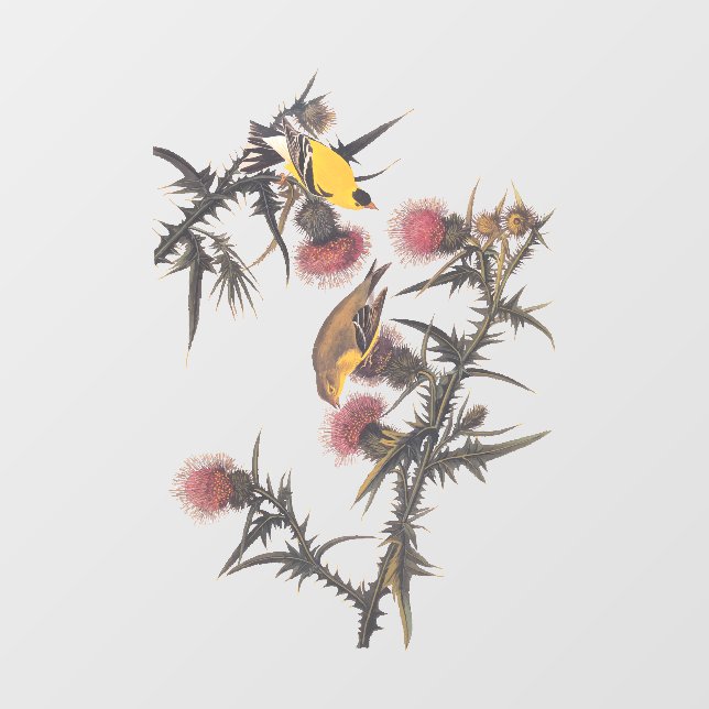American Goldfinch Audubon Birds of America Window Cling (Sheet)