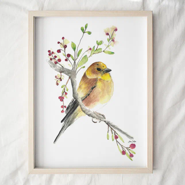 American Goldfinch Bird Watercolor Art Print | Zazzle