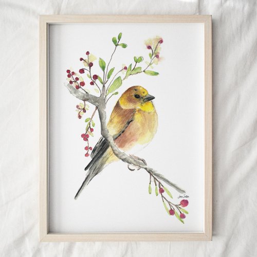 American Goldfinch Bird Watercolor Art Print